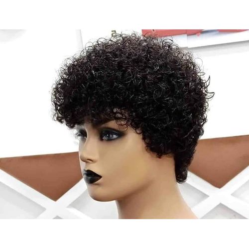 Black Afro Kinky Curly Human Hair Wig