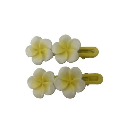 2 Pcs fashion flowers hairclip