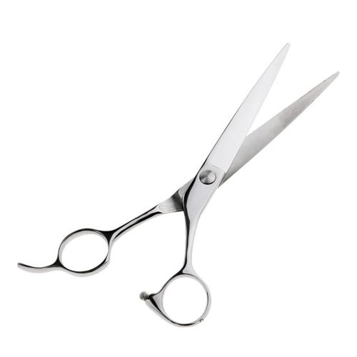 Professional Hair Scissors.
