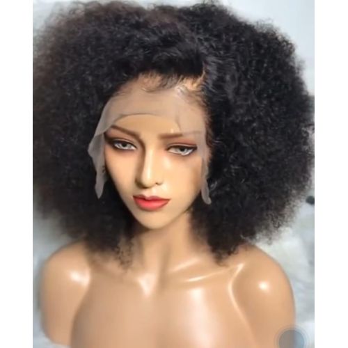 Beauty Afro Kinky Curly 100 Brazilian Human Hair Wig for Black Women Human Hair