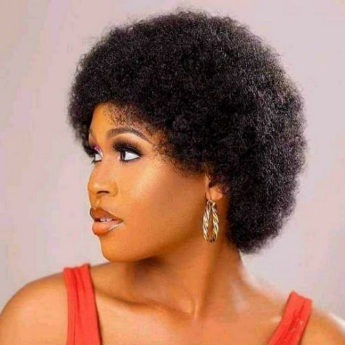 Full Afro Synthetic Hair Wig + FREE Gift Inside!!!